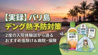 バリ島デング熱対策
